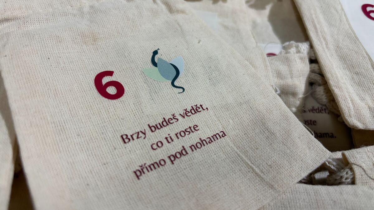 Kpramenizdraví.cz · 650 sáčků, 13 motivů